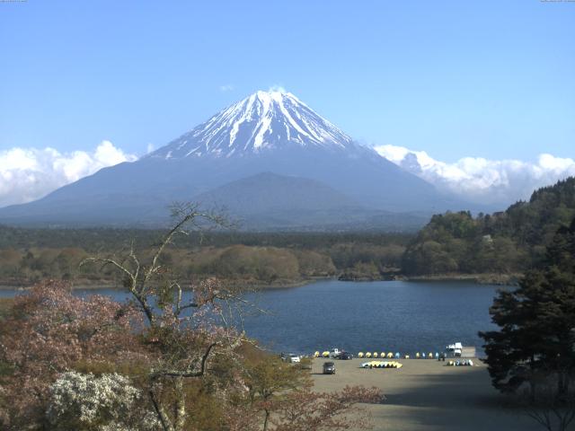 精進湖からの富士山