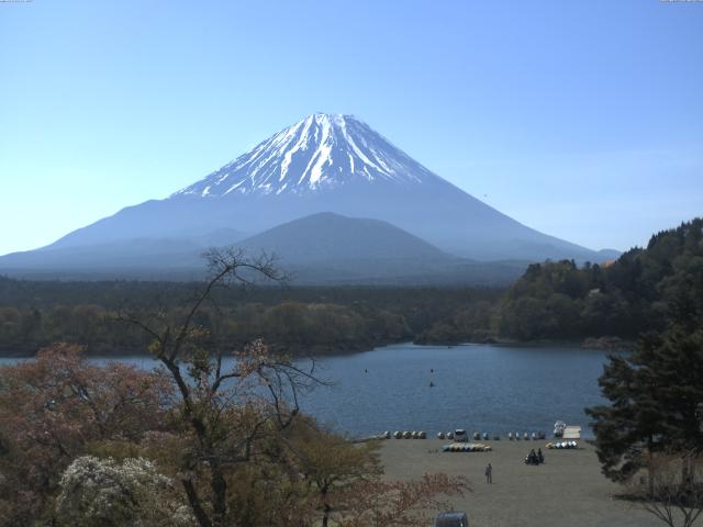 精進湖からの富士山