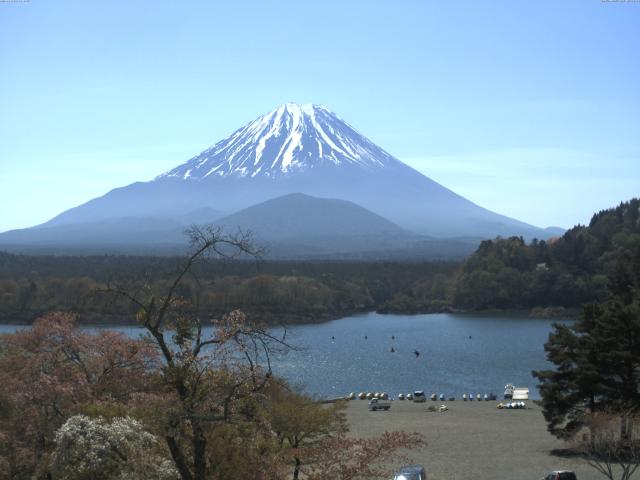 精進湖からの富士山
