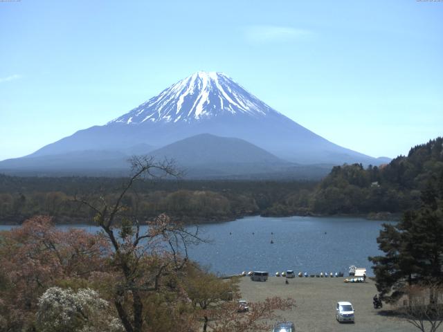 精進湖からの富士山