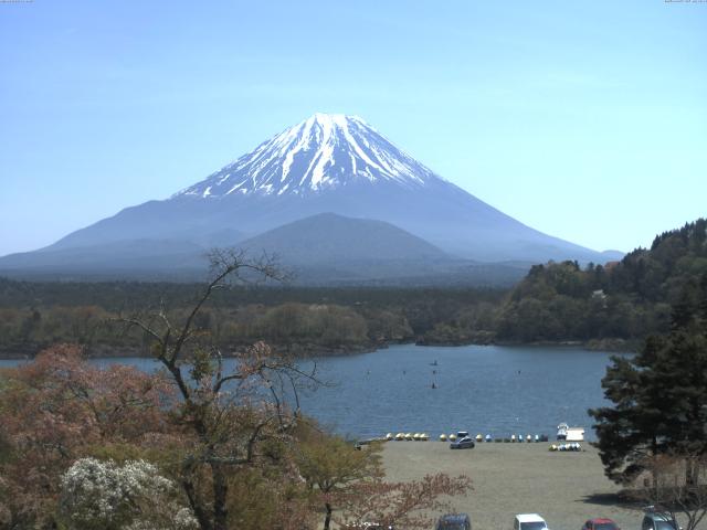 精進湖からの富士山