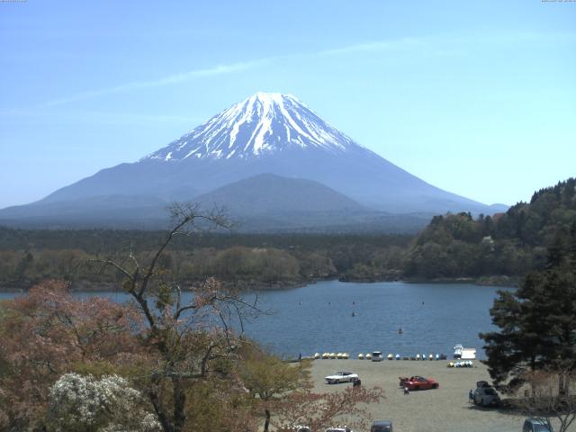 精進湖からの富士山