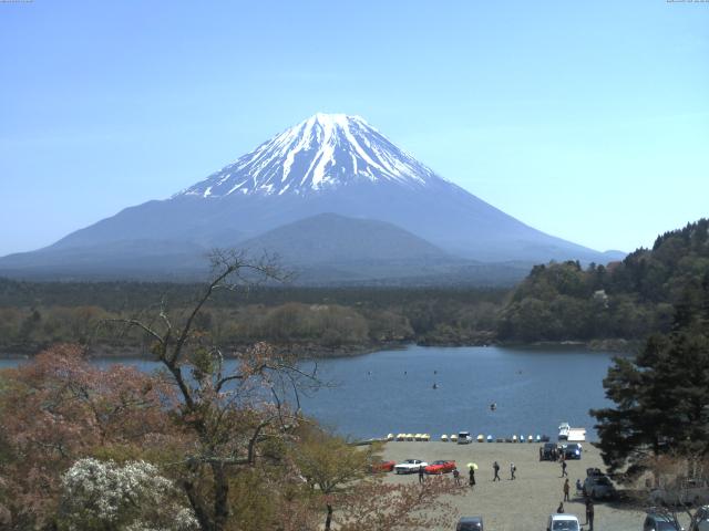 精進湖からの富士山