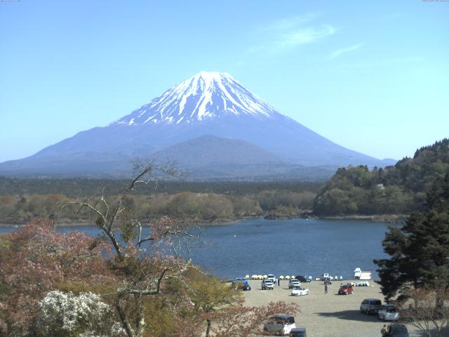 精進湖からの富士山