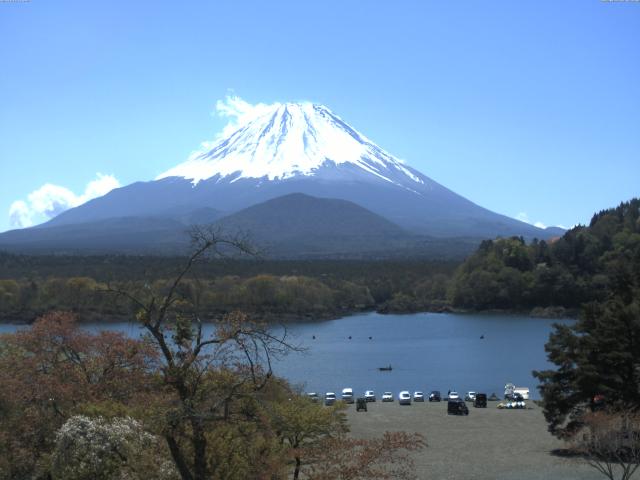 精進湖からの富士山