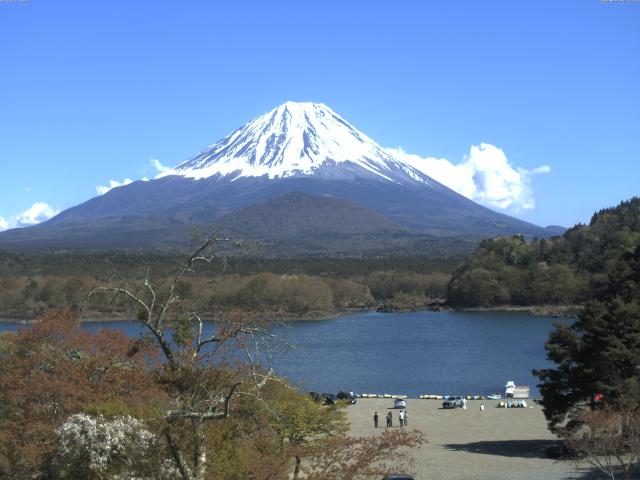 精進湖からの富士山