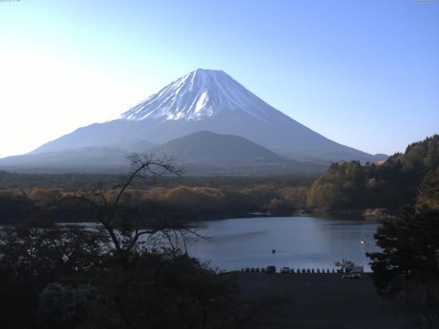 精進湖からの富士山