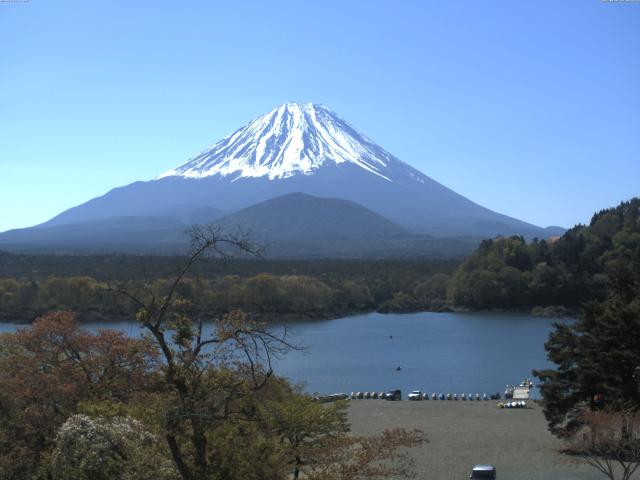 精進湖からの富士山