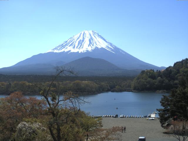 精進湖からの富士山