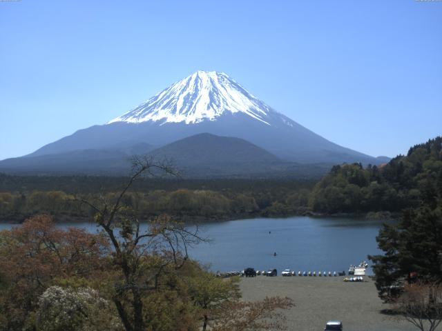 精進湖からの富士山