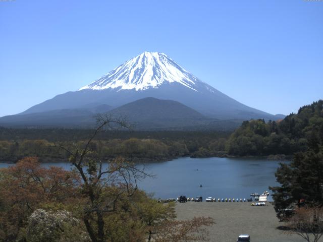 精進湖からの富士山