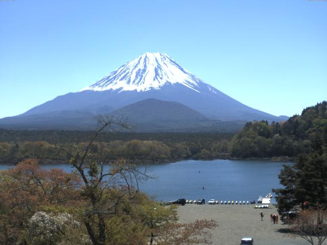 精進湖からの富士山