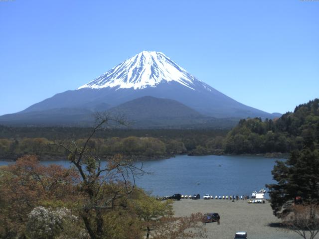 精進湖からの富士山