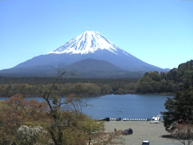 精進湖からの富士山
