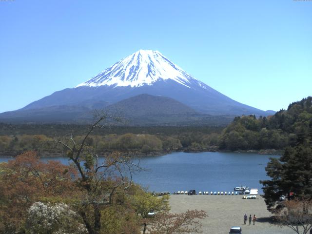 精進湖からの富士山
