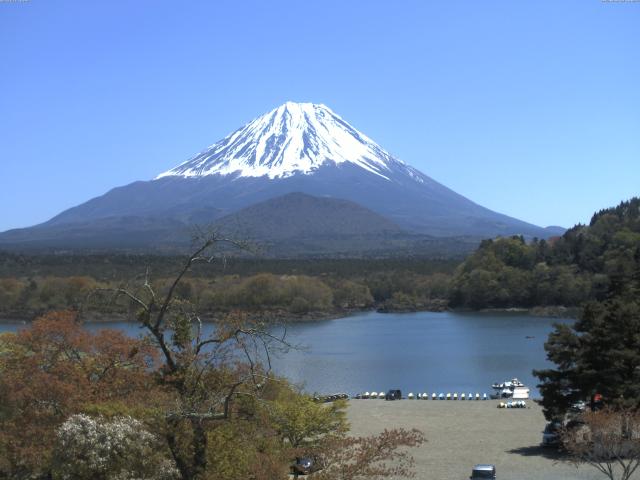 精進湖からの富士山