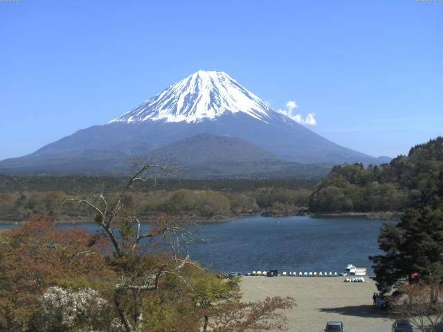 精進湖からの富士山