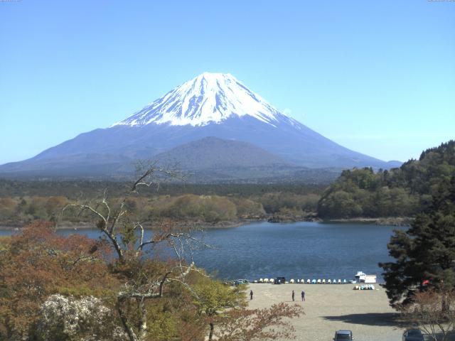精進湖からの富士山