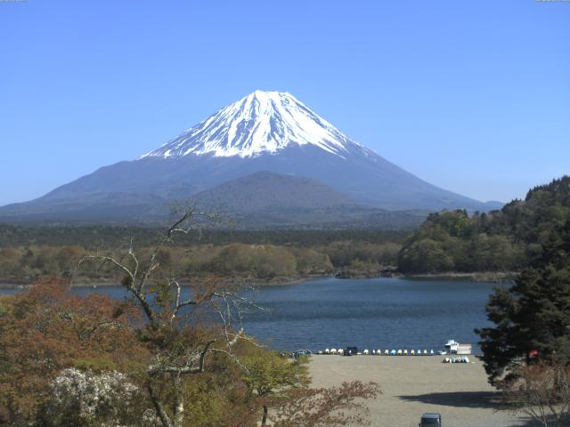 精進湖からの富士山