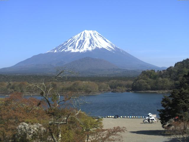 精進湖からの富士山