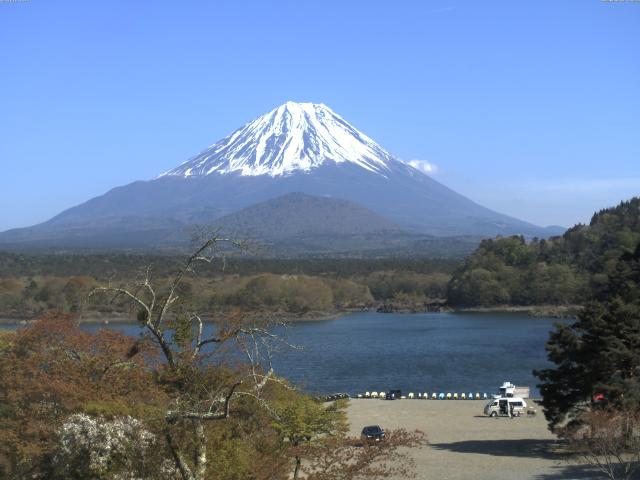 精進湖からの富士山
