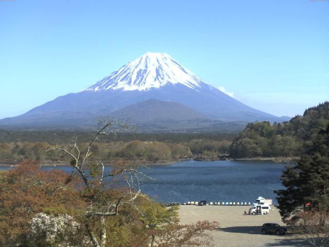 精進湖からの富士山