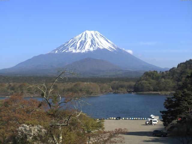 精進湖からの富士山