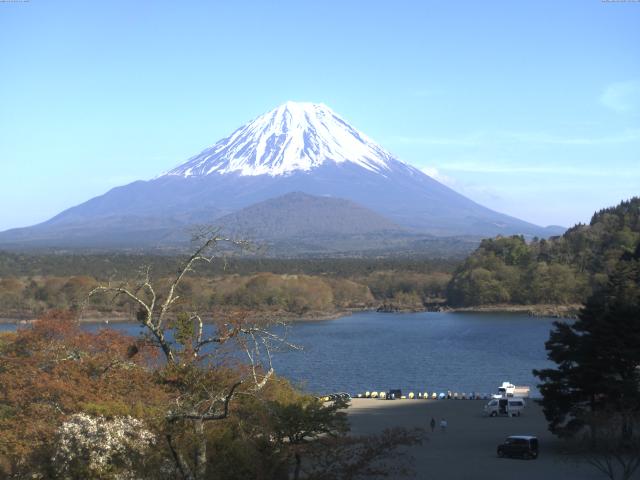 精進湖からの富士山