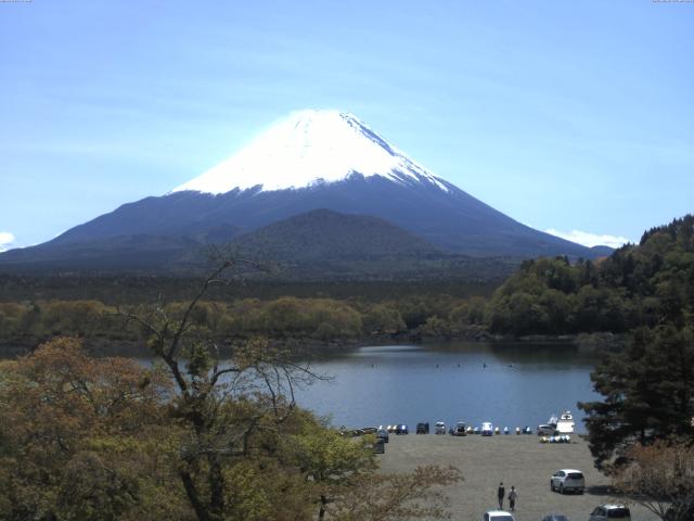 精進湖からの富士山