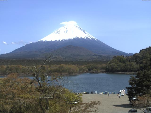 精進湖からの富士山