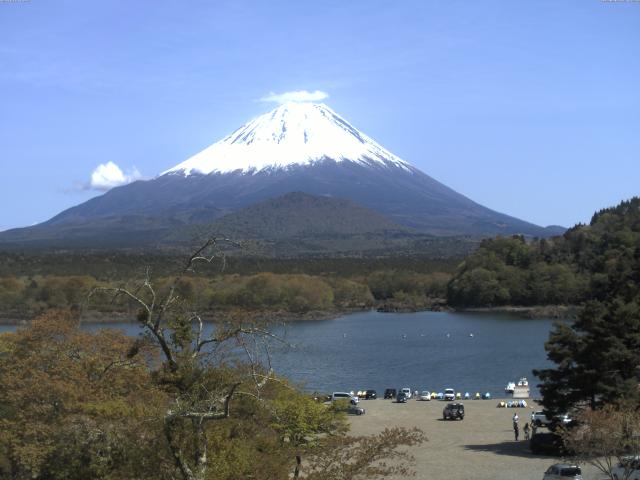 精進湖からの富士山