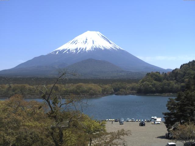 精進湖からの富士山
