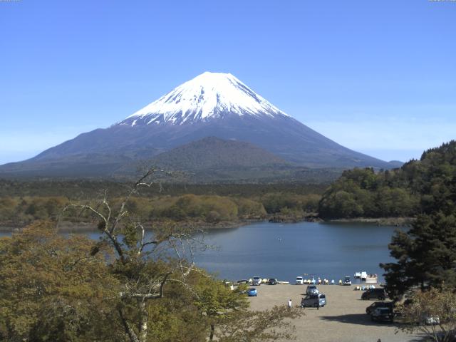 精進湖からの富士山