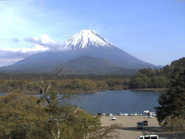 精進湖からの富士山