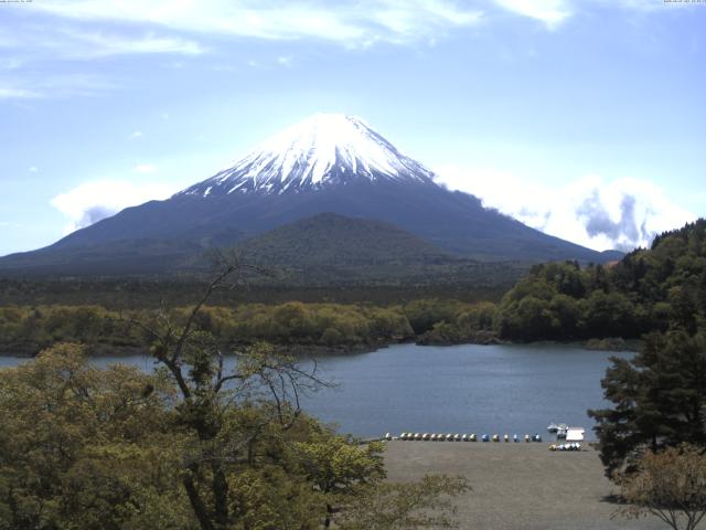 精進湖からの富士山