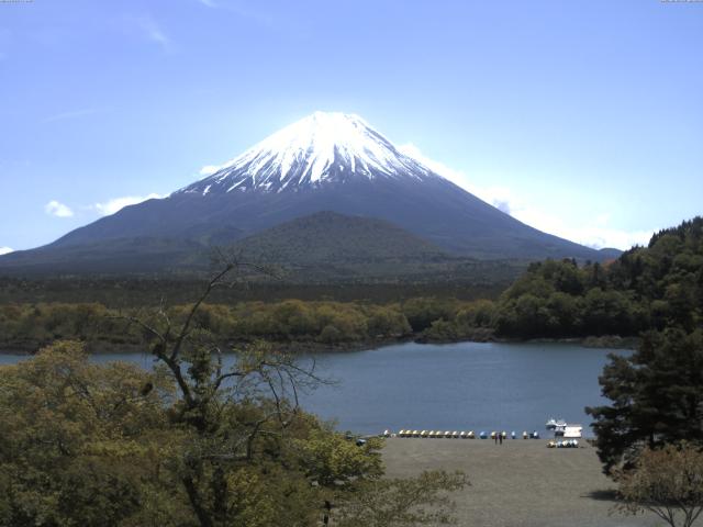 精進湖からの富士山