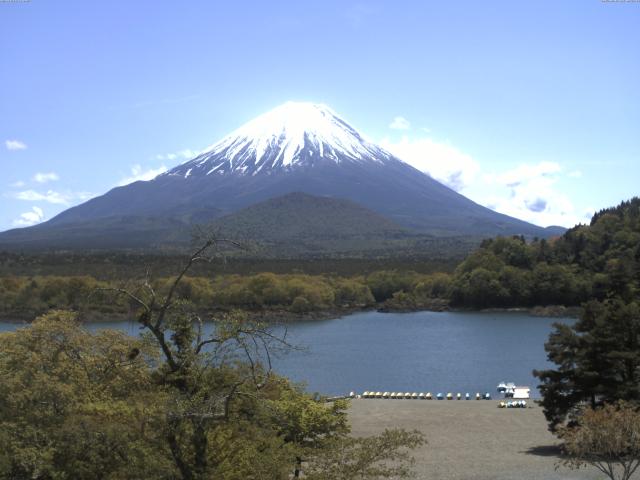 精進湖からの富士山