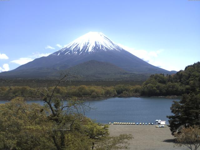 精進湖からの富士山