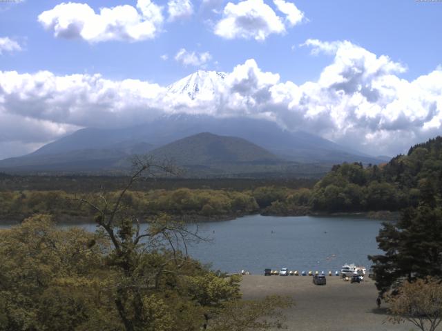 精進湖からの富士山