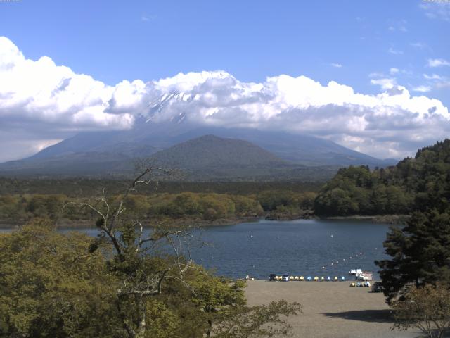 精進湖からの富士山