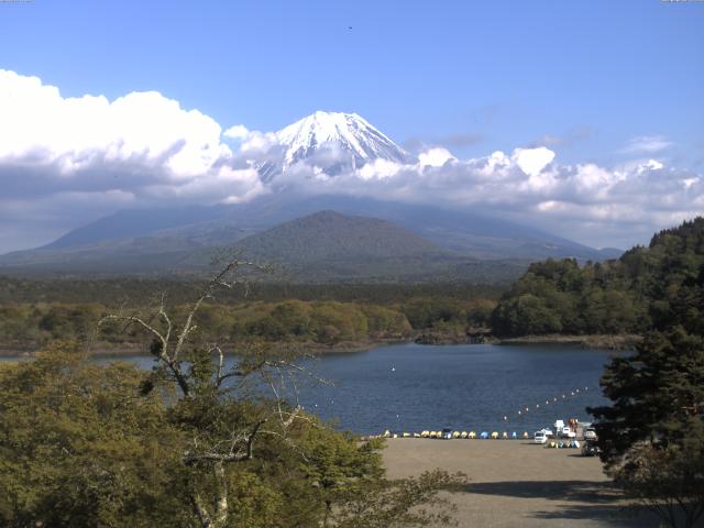 精進湖からの富士山