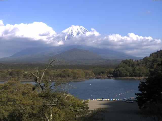 精進湖からの富士山