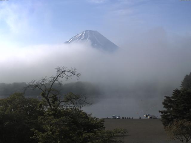 精進湖からの富士山