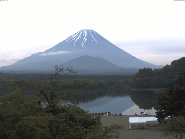 精進湖からの富士山