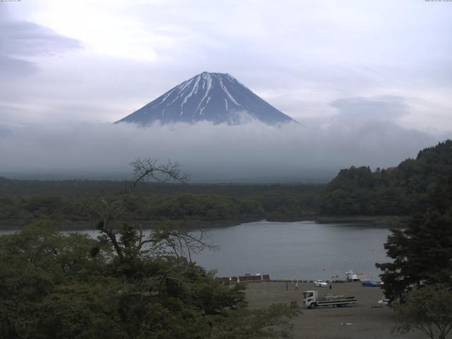 精進湖からの富士山