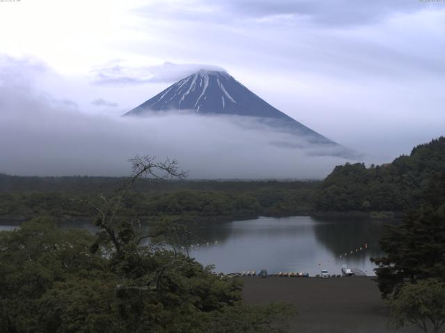 精進湖からの富士山