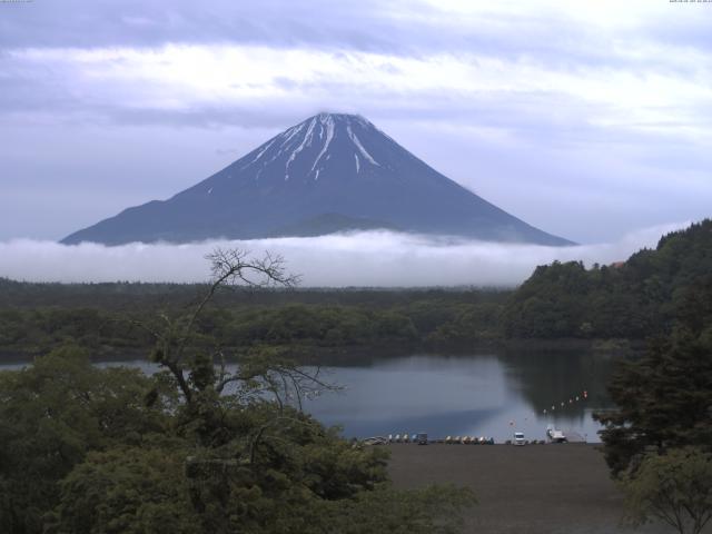 精進湖からの富士山