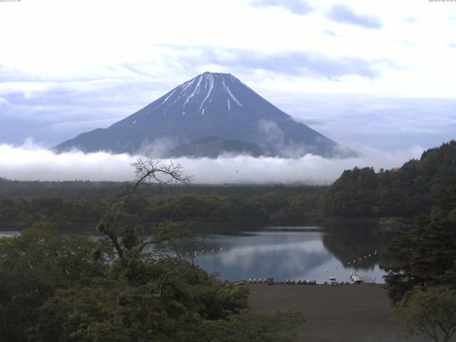 精進湖からの富士山