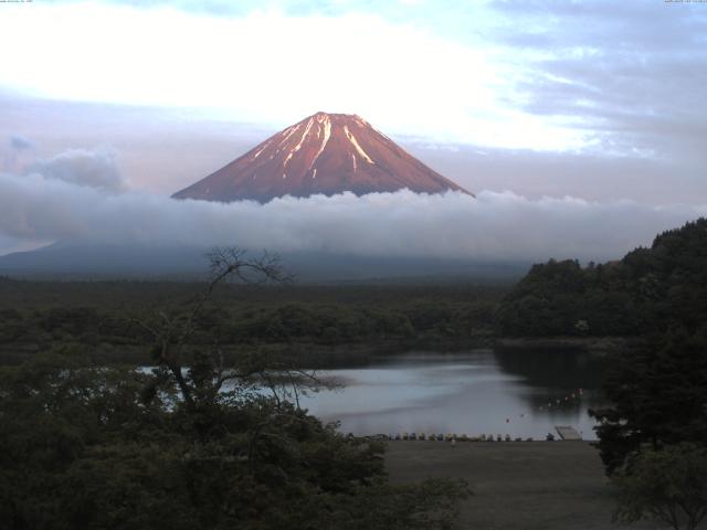 精進湖からの富士山