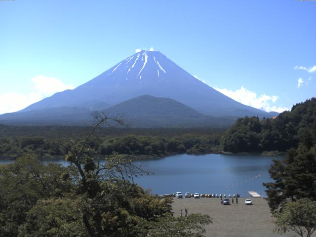 精進湖からの富士山